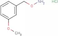 O-(3-Methoxybenzyl)hydroxylamine hydrochloride