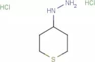 1-(Tetrahydro-2h-thiopyran-4-yl)hydrazine dihydrochloride