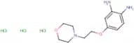 4-(2-Morpholinoethoxy)benzene-1,2-diamine trihydrochloride
