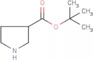 tert-Butyl pyrrolidine-3-carboxylate