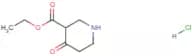 Ethyl 4-oxopiperidine-3-carboxylate hydrochloride