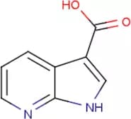 7-Azaindole-3-carboxylic acid