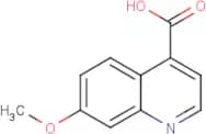 7-Methoxyquinoline-4-carboxylic acid
