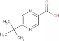 5-(tert-Butyl)pyrazine-2-carboxylic acid
