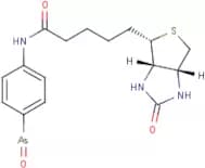 N-(4-Arsorylphenyl)-5-((3aS,4S,6aR)-2-oxohexahydro-1H-thieno[3,4-d]imidazol-4-yl)pentanamide