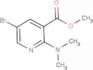 Methyl 5-bromo-2-(dimethylamino)nicotinate