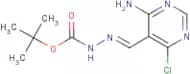 N'-[(1E)-(4-Amino-6-chloropyrimidin-5-yl)methylidene](tert-butoxy)carbohydrazide