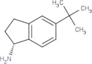 (1R)-5-tert-Butyl-2,3-dihydro-1H-inden-1-amine