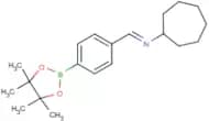 4-(Cycloheptyll)iminomethyl phenyl boronic acid pinacol ester