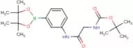 tert-Butyl (2-oxo-2-{[3-(4,4,5,5-tetramethyl-1,3,2-dioxaborolan-2-yl)phenyl]amino}ethyl)carbamate