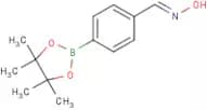 4-(4,4,5,5-Tetramethyl-1,3,2-dioxaborolan-2-yl)benzaldehyde oxime