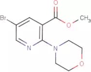 Methyl 5-bromo-2-morpholinonicotinate