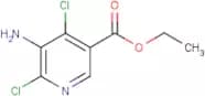 Ethyl 5-amino-4,6-dichloronicotinate