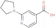 2-(Pyrrolidin-1-yl)isonicotinic acid