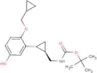 tert-Butyl ({(1R,2R)-2-[2-(cyclopropylmethoxy)-5-hydroxyphenyl]cyclopropyl}methyl)carbamate