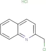 2-(Chloromethyl)quinoline hydrochloride