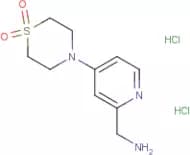 1-[4-(1,1-Dioxidothiomorpholin-4-yl)pyridin-2-yl]methanamine dihydrochloride