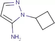 1-Cyclobutyl-1H-pyrazol-5-amine