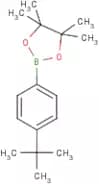 4-(tert-Butyl)benzeneboronic acid, pinacol ester