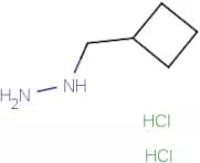 (Cyclobutylmethyl)hydrazine dihydrochloride