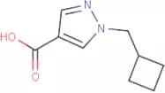 1-(Cyclobutylmethyl)-1H-pyrazole-4-carboxylic acid