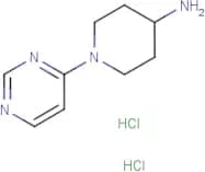 1-(Pyrimidin-4-yl)piperidin-4-amine dihydrochloride