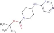 tert-Butyl 4-(pyrimidin-4-ylamino)piperidine-1-carboxylate