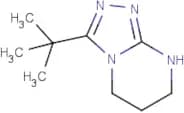 3-tert-Butyl-5,6,7,8-tetrahydro[1,2,4]triazolo[4,3-a]pyrimidine