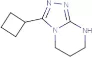 3-Cyclobutyl-5H,6H,7H,8H-[1,2,4]triazolo[4,3-a]pyrimidine