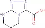 5,6,7,8-Tetrahydro[1,2,4]triazolo[4,3-a]pyrimidine-3-carboxylic acid