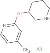 4-Methyl-2-(piperidin-3-yloxy)pyridine hydrochloride