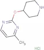 4-Methyl-2-(piperidin-4-yloxy)pyrimidine hydrochloride