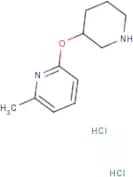 2-Methyl-6-(piperidin-3-yloxy)pyridine dihydrochloride