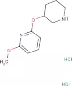 2-Methoxy-6-(piperidin-3-yloxy)pyridine dihydrochloride