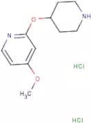 4-Methoxy-2-(piperidin-4-yloxy)pyridine dihydrochloride