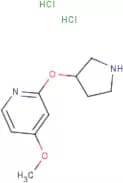 4-Methoxy-2-(pyrrolidin-3-yloxy)pyridine dihydrochloride