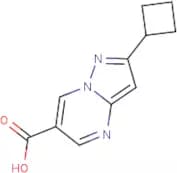 2-Cyclobutylpyrazolo[1,5-a]pyrimidine-6-carboxylic acid