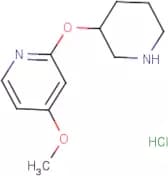 4-Methoxy-2-(piperidin-3-yloxy)pyridine hydrochloride
