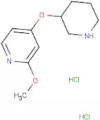 2-Methoxy-4-(piperidin-3-yloxy)pyridine dihydrochloride