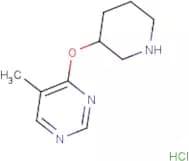 5-Methyl-4-(piperidin-3-yloxy)pyrimidine hydrochloride