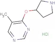 5-Methyl-4-(pyrrolidin-3-yloxy)pyrimidine hydrochloride