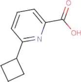6-Cyclobutylpicolinic acid