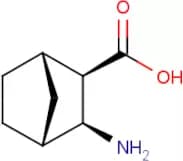 diexo-3-Amino-bicyclo[2.2.1]heptane-2-carboxylic acid