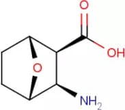 diexo-3-Amino-7-oxa-bicyclo[2.2.1]heptane-2-carboxylic acid