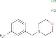 3-Morpholin-4-ylmethyl-phenylamine dihydrochloride