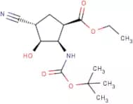 Ethyl (1R*,2R*,3S*,4S*)-2-(tert-butoxycarbonylamino)-4-cyano-3-hydroxycyclopentane-carboxylate