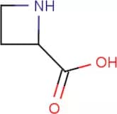 Azetidine-2-carboxylic acid