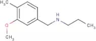 [(3-Methoxy-4-methylphenyl)methyl](propyl)amine