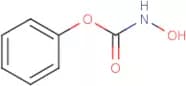 Phenyl N-hydroxycarbamate