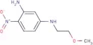 1-N-(2-Methoxyethyl)-4-nitrobenzene-1,3-diamine